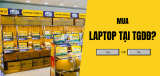 Có nên mua laptop ở Thegioididong không?