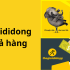 Có nên mua điện thoại cũ Thegioididong? Kinh nghiệm chọn mua